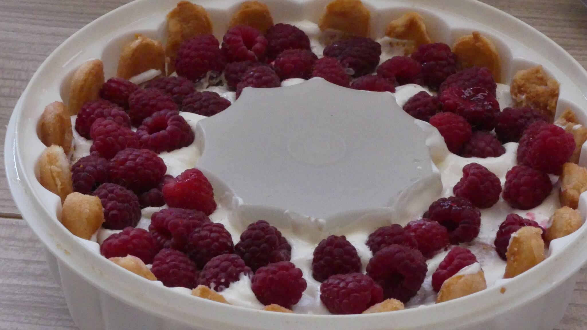 Charlotte aux framboises tupperware - Withmo