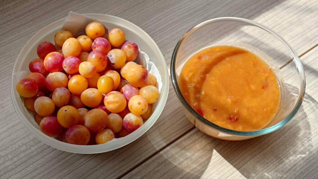 compote mirabelles withmo