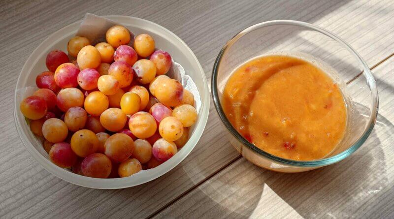 compote mirabelles withmo