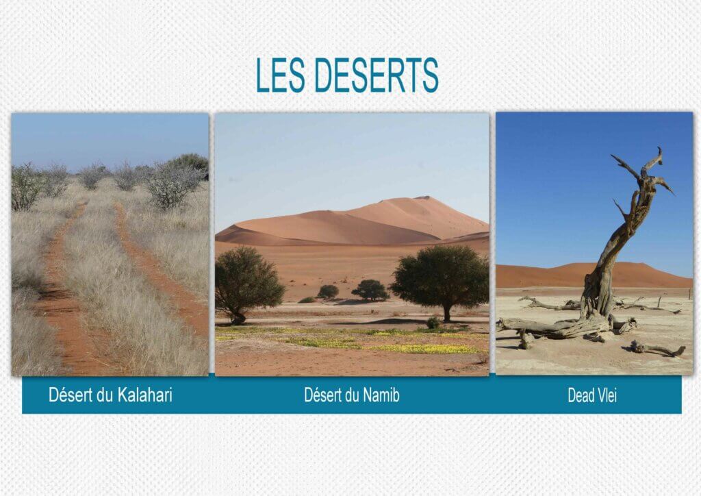 Les déserts_Withmo