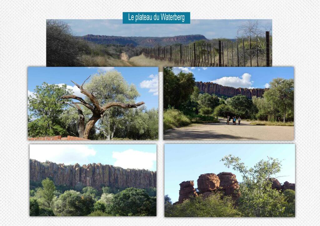 Le plateau du Waterberg_Withmo